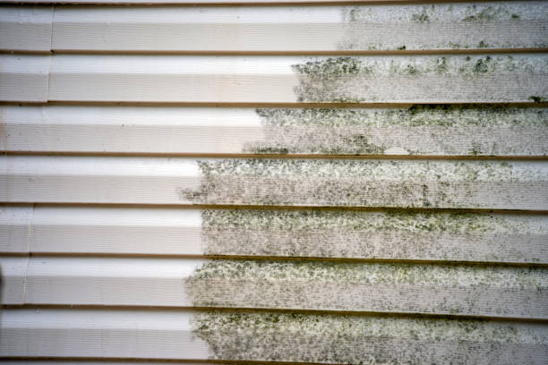Best Engineered Wood Siding  in Larimore, ND