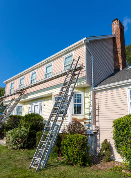 Best Custom Siding Design  in Larimore, ND